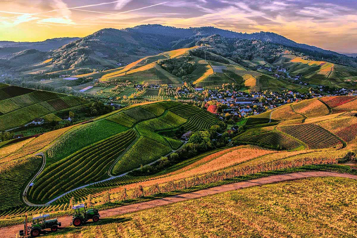 paesaggi Paesaggi collinari d'Italia: le 8 località più suggestive