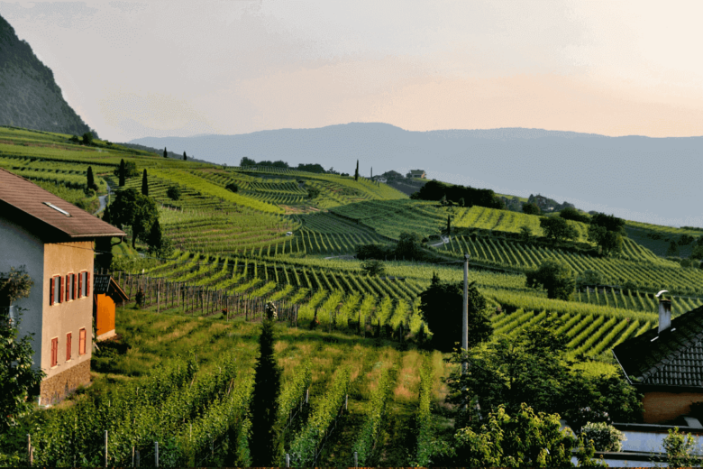 fattorie Toscana